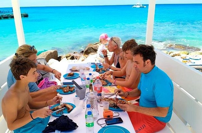 Guided Saona Island Tour in Punta Cana - Guided care and a smoother experience for families