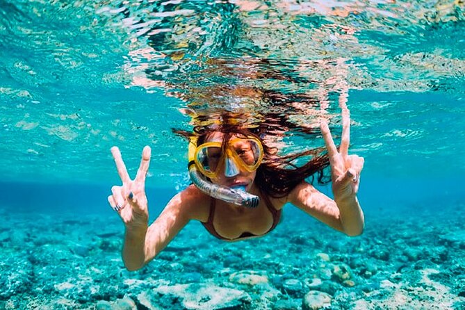 Guided Saona Island Tour in Punta Cana - Price and what you actually get for $95