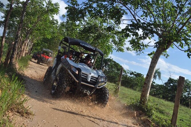 Guided Tour in Polaris (4X4) by Macao Beach, Taino Cave and Typical House - Cueva Taína: a fresh-water cave swim and a jump from almost 3 meters