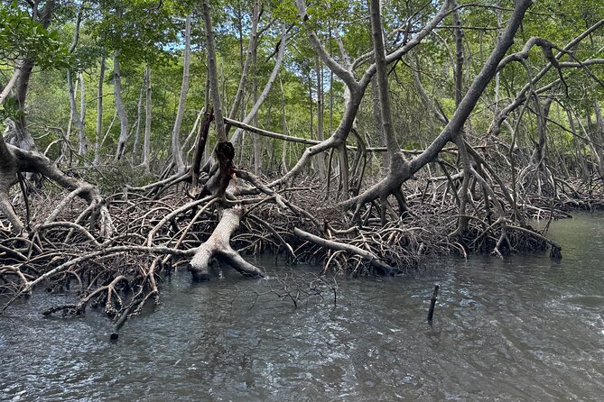 Haitian National Park and fell up - Key highlights to look for