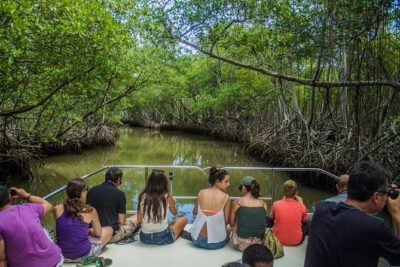 Haitises National Park with Paraiso Caño Hondo & Montaña Redonda - Price and What You Actually Get for $155