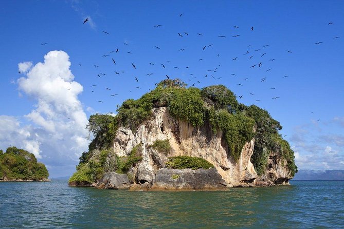 Haitises National Park with Paraiso Caño Hondo & Montaña Redonda - The Dusty Road to Los Haitises and Why Timing Matters