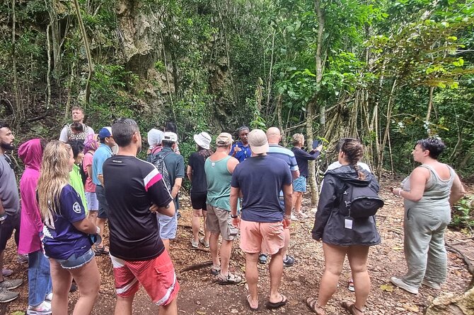 Haitises National Park with Paraiso Caño Hondo & Montaña Redonda - Cave Expedition: Hands-On Nature Time (Bring Your Comfort)