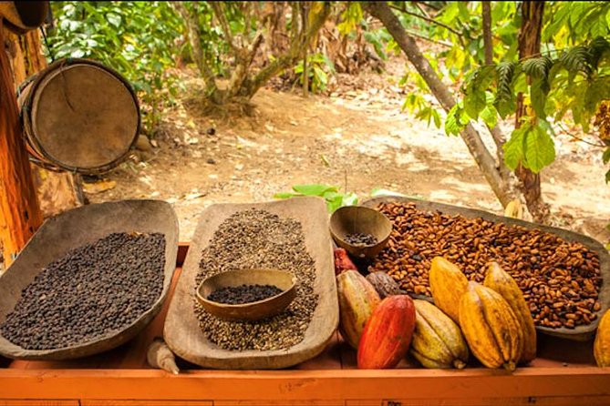 Half-Day Adventure 4x4 ATV, Water Cave and Dominican Culture - Price and Value: Is $64.72 a Smart Deal?