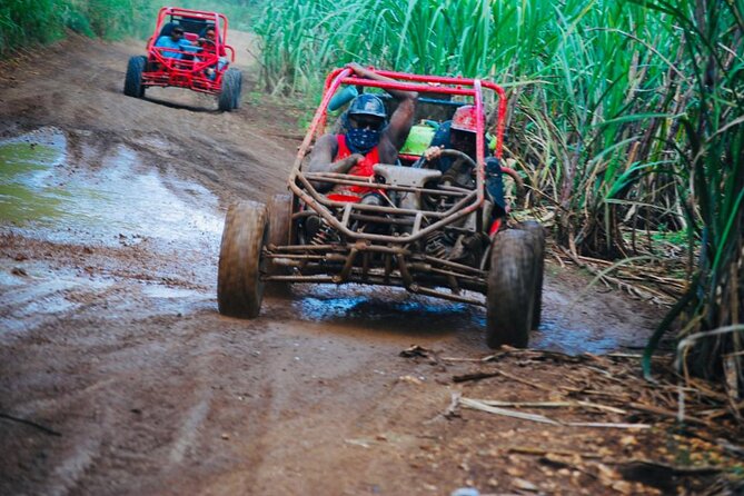 Half-Day ATV or Buggy 4X4 from Bayahibe - La Romana - What the experience is like with the people who run it
