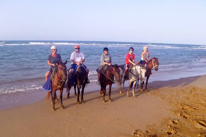 Half-Day Beach Horse Back Riding in Puerto Plata - Beach Riding Where Waves Touch the Horses