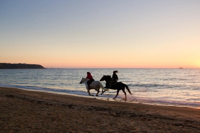 Half-Day Beach Horse Back Riding in Puerto Plata - Horses and Guides: What Makes the Experience Feel Safe