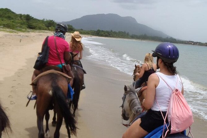 Half-Day Beach Horse Back Riding in Puerto Plata - Price and Value: Is $69 a Fair Half-Day?