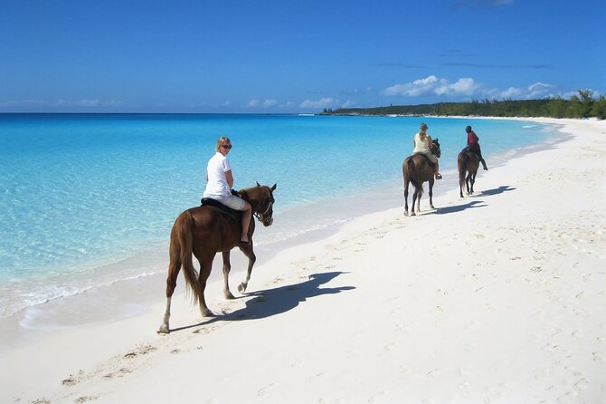 Half-Day Beach Horse Back Riding in Puerto Plata - The First Part of the Ride: Gravel Tracks Through Jungle