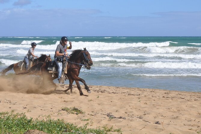 Half Day Buggies and Horseback Experience in Punta Cana - The Big Pitch: Why This Feels Like More Than One Tour