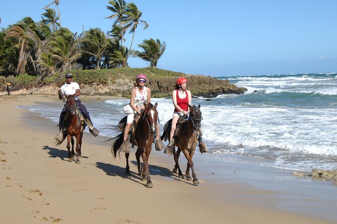 Half Day Buggies and Horseback Experience in Punta Cana - Getting Started at 7:30: Pickup Rhythm and What to Expect