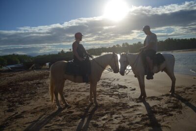 Half Day Buggies and Horseback Experience in Punta Cana - Price and Time: When $99 Makes Sense (and When It Doesn’t)