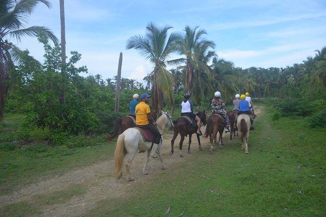 Half Day Buggies and Horseback Experience in Punta Cana - Underground Water Cave: Cool, Damp, and Worth the Stop