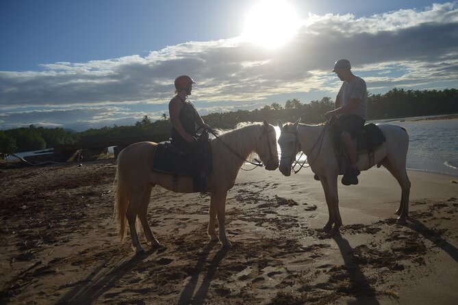 Half Day Buggies and Horseback Experience in Punta Cana - Price and Time: When $99 Makes Sense (and When It Doesn’t)