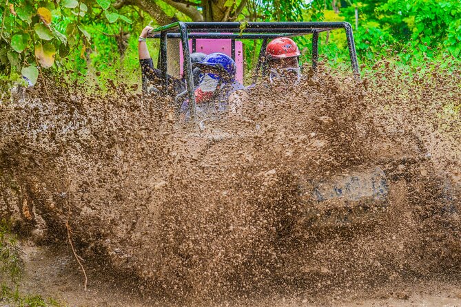 Half-Day Buggy Tour to Water cenote and Macao Beach in Punta Cana - What you are really paying for: value at $43.80 and how it feels