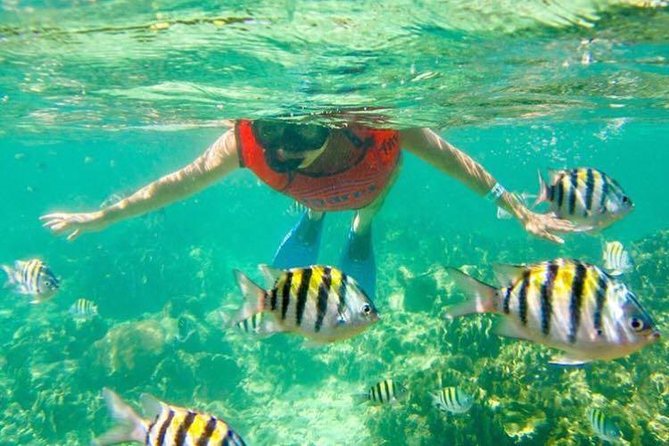 Half Day Catamaran & Snorkeling - Why this half-day catamaran fits Punta Cana so well