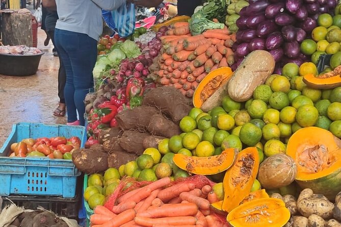 Half-day City tour cultural from punta cana for small group - Key things that make this tour work