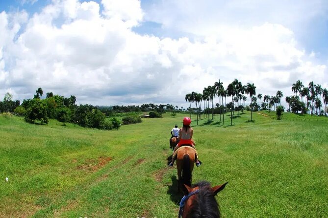 Half-Day Cultural Safari - Coconut and Cigar Factories, Plus a Local House Moment