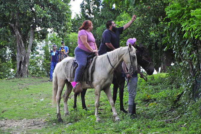 Half-Day Cultural Safari - Horseback Riding: Fun Factor, Know What You’re Signing Up For