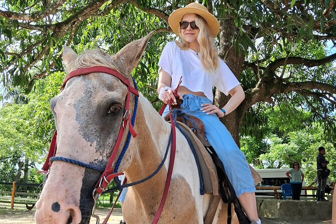 Half-day Cultural Tour in the City of Higüey - Quick City Center Time: Getting Oriented in Higuey