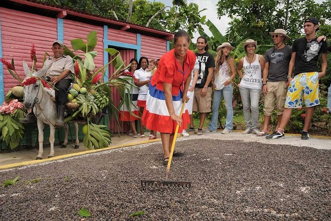 Half-Day Dominican Republic Safari Tour from Punta Cana - Macao Beach: The Quick Coast Break That Resets the Day