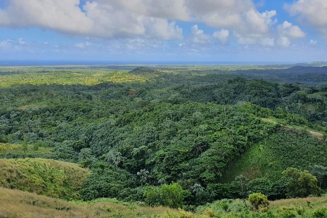 Half Day Dominican Safari for all Family - How This Half-Day Tour Really Fits Punta Cana