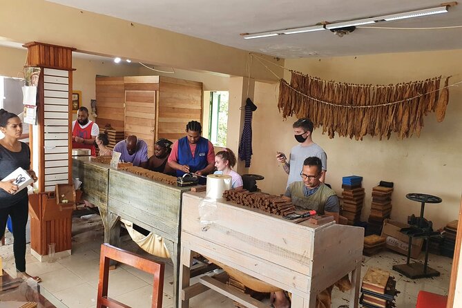 Half Day Dominican Safari for all Family - Drinks Included: A Small Detail That Changes the Value