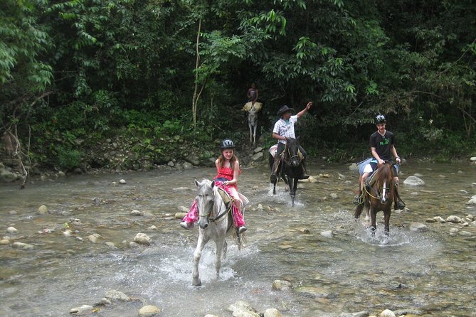 Half-Day Mountain Ride in Puerto Plata - What This Half-Day Horseback Ride Feels Like