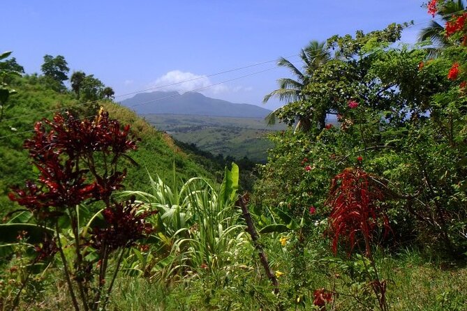 Half-Day Mountain Ride in Puerto Plata - Choosing a Horse and Feeling Confident as a Beginner