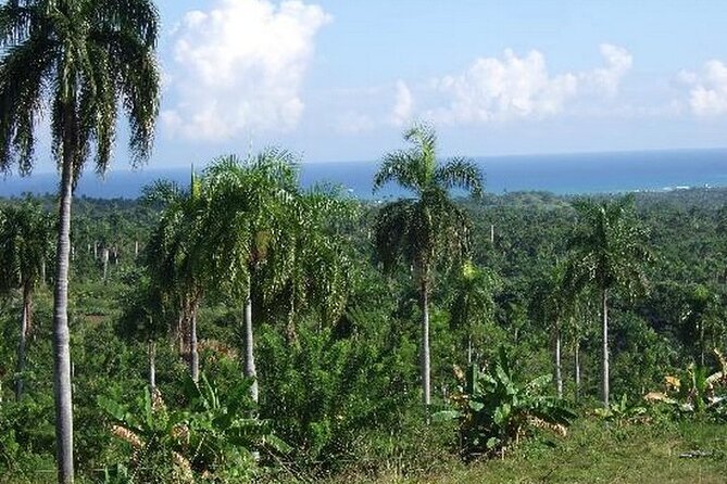 Half-Day Mountain Ride in Puerto Plata - Guides Who Set the Tone: English, Spanish, and Horse Handling