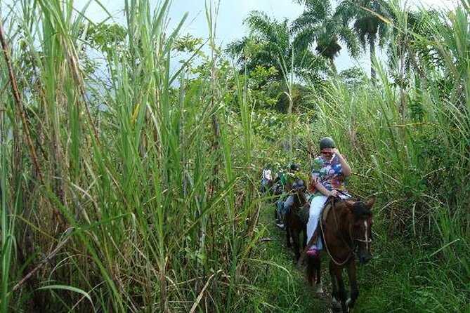 Half-Day Mountain Ride in Puerto Plata - Price and Value: Why $69 Can Feel Fair or Too High