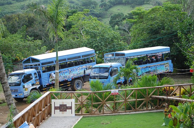 Half-Day Safari Tour from Punta Cana - Getting Out of Punta Cana: The Safari-Style Start