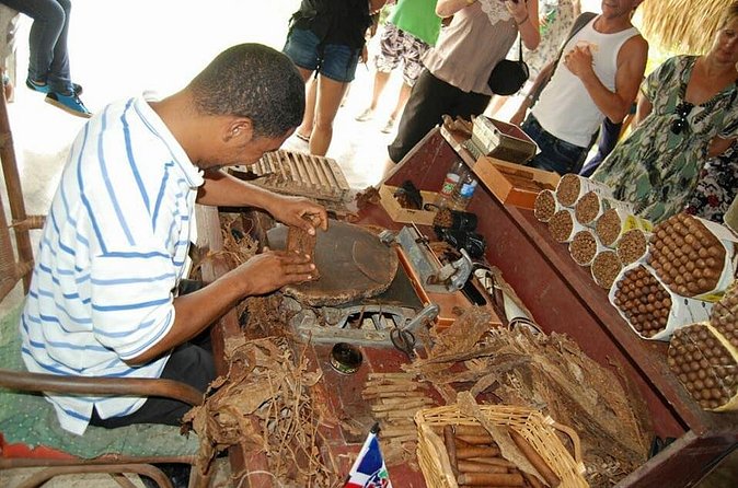 Half-Day Safari Tour from Punta Cana - Higuey and the Local School Stop: Where the Day Feels Real