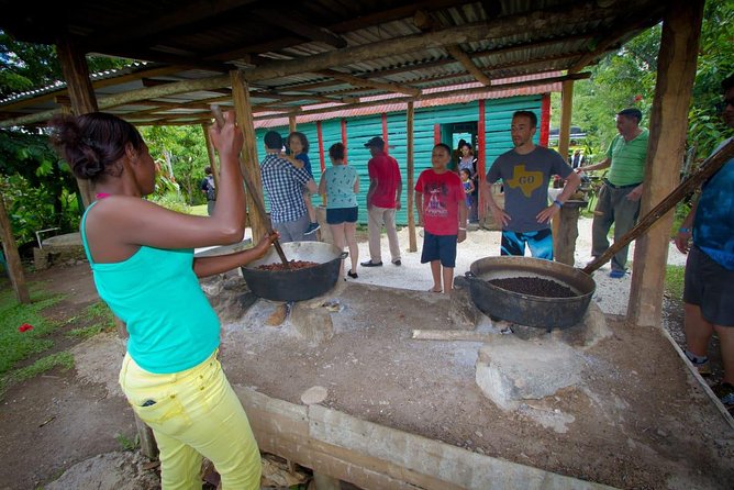 Half Day Safari Tour of Punta Cana - Price and Value: What $65 Really Buys You