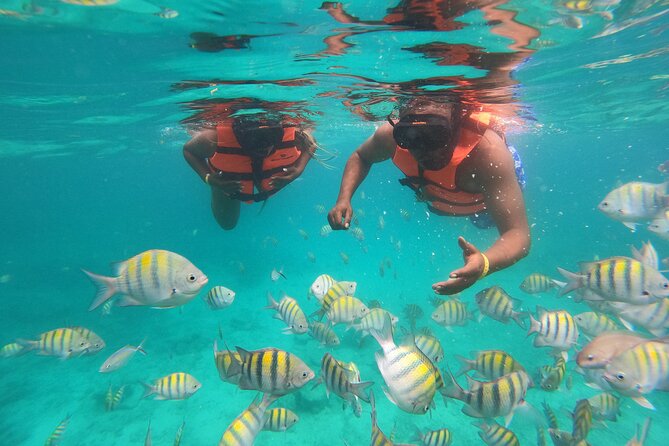 Half-Day Snorkeling Cruise and Natural Pool with Open Bar - Quick hits you’ll care about