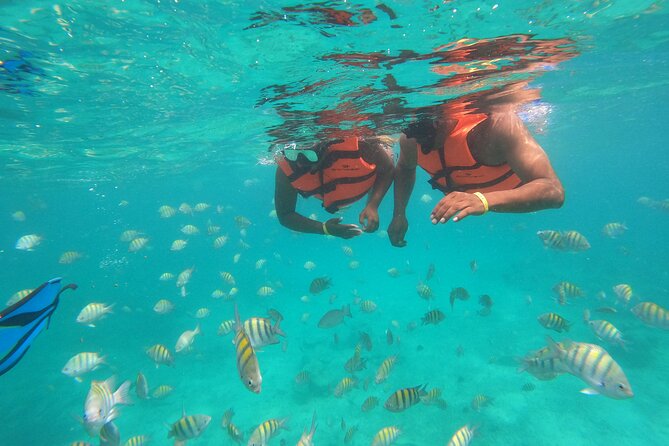 Half-Day Snorkeling Cruise and Natural Pool with Open Bar - What’s included in the $59 value (and what you’ll add)