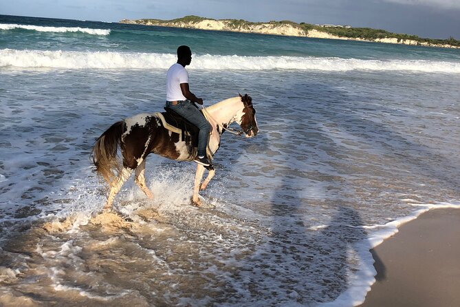 Half-Day Tour 2-in-1, Redonda Mountain & Horseback Riding Tour in Macao Beach - Who should book this Punta Cana 2-in-1 (and who might skip)