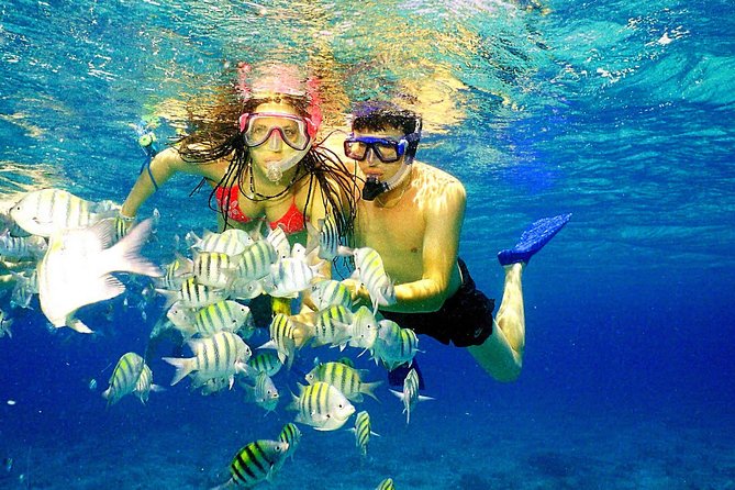 Happy Hour Party Boat With Snorkeling - How the 3:00 pm departure ties to pickup and real-world timing