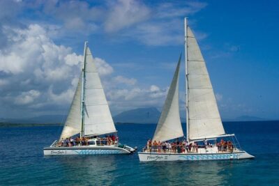 Happy Hour Party Boat With Snorkeling - What’s included: open bar, snacks, and what you should plan to eat