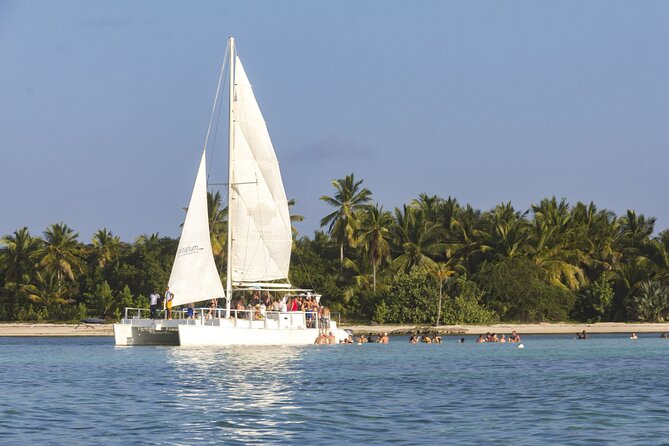 Happy Hour Party Boat With Snorkeling - Snorkeling in the coral gardens: what you’ll actually experience