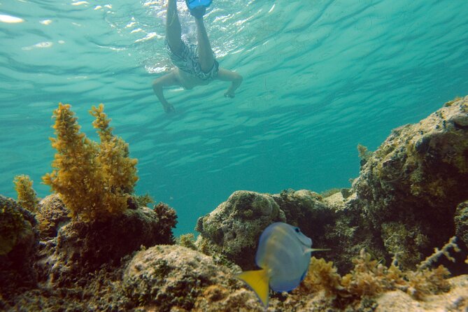 Happy Hour Party Boat With Snorkeling - Price and value: is $85 worth it?
