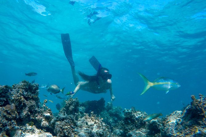 Happy Hour Sailing Cruise from Punta Cana - Marinarium Parks Start: Animals, a Welcome Drink, and Getting Organized