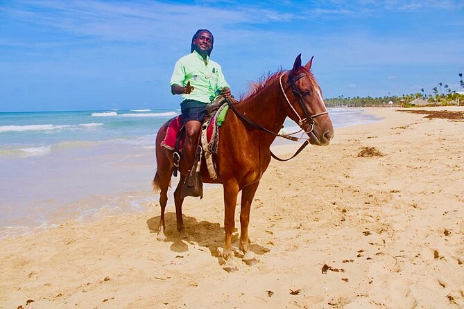 Horse Back Riding Adventure in Punta Cana - The Short River Break: A 20-Minute Scene Change