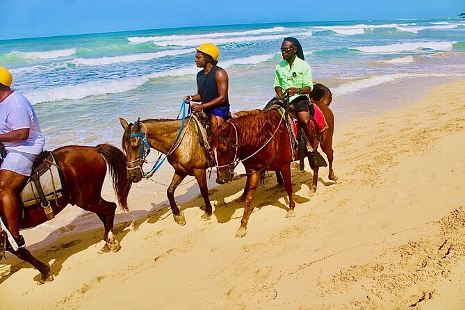 Horse Back Riding Adventure in Punta Cana - Meet Your Horse: Safety Lessons and the Name Game