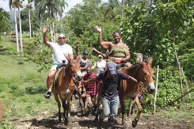 Horse back riding (Punta Cana/Bavaro) - Punta Cana horseback riding: what this adventure is really about