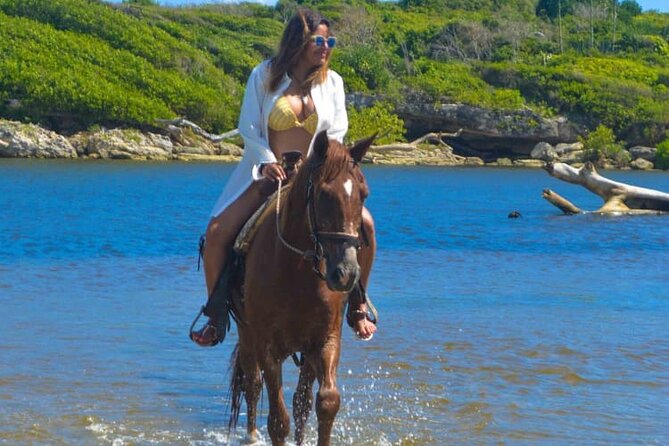 Horse back riding (Punta Cana/Bavaro) - Guides and horse care: what “good” usually looks like
