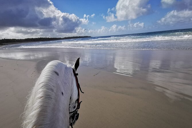 Horse Riding Experience through El Limon Beach - Key highlights you should care about