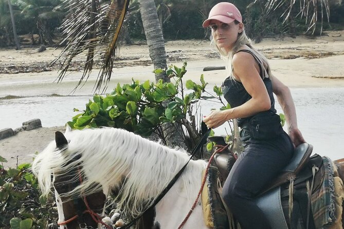 Horse Riding Experience through El Limon Beach - Punta Cana’s different side: horses to a secluded El Limon Beach