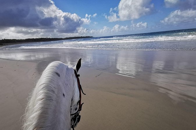 Horse Riding Experience through El Limon Beach - What a private ride really feels like on the ground