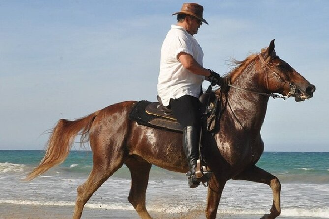 Horse Riding Experience through El Limon Beach - Price and value: is $150 per person fair?